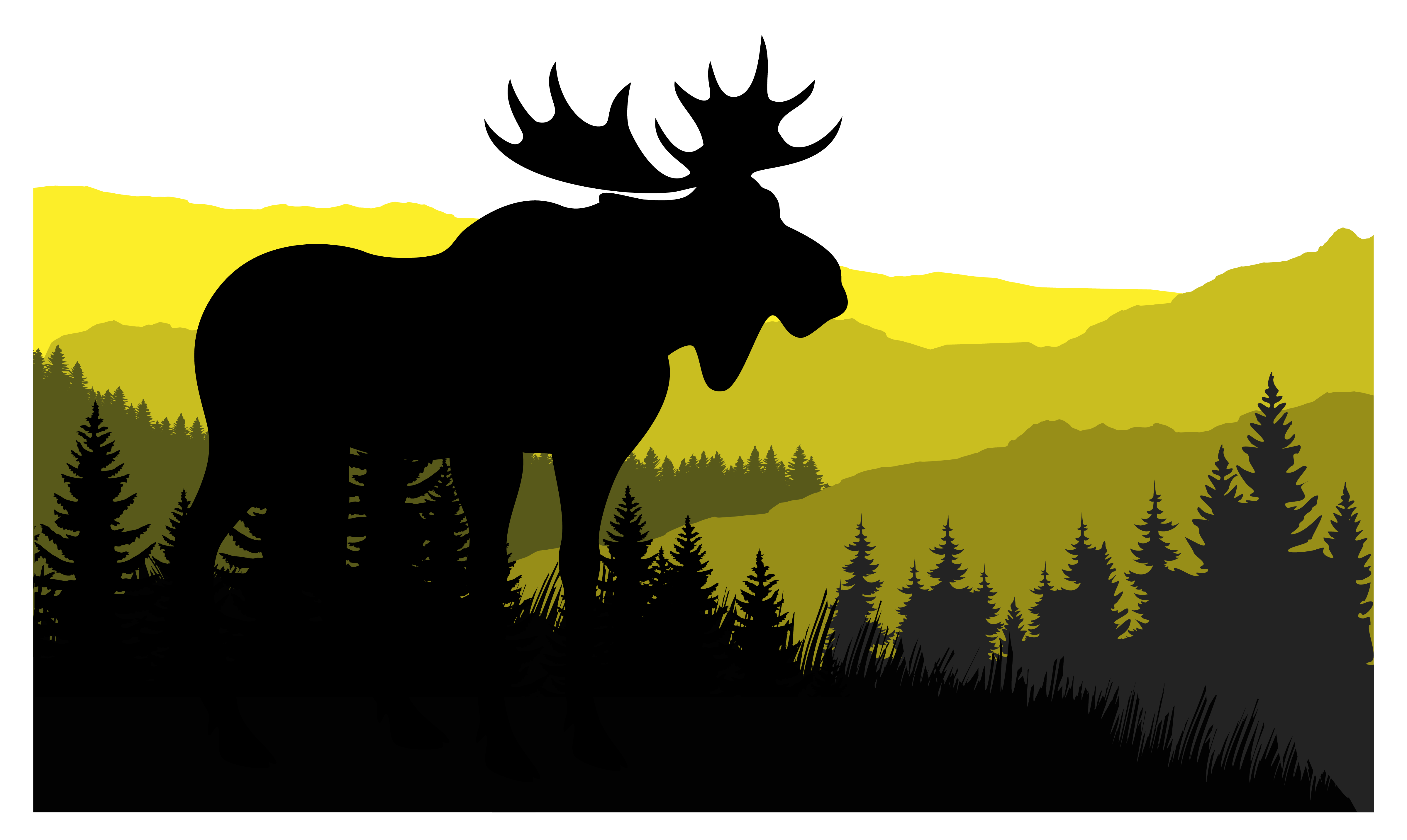 Yellow Elk Office